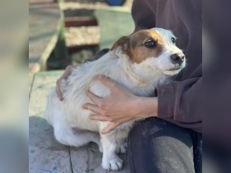 Andrija ein winziger Engelchen Andrija ein winziger Engelchen