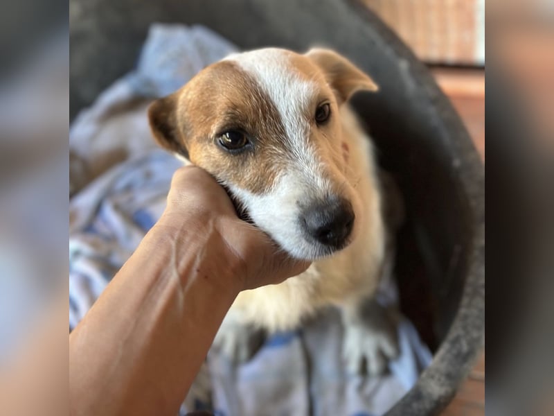 Andrija ein winziger Engelchen Andrija ein winziger Engelchen