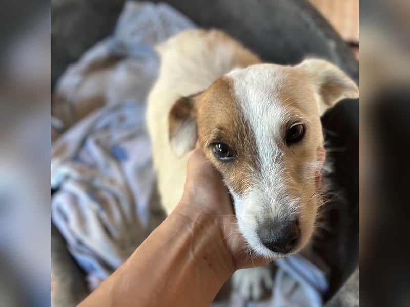 Andrija ein winziger Engelchen Andrija ein winziger Engelchen