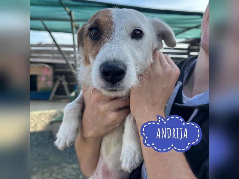 Andrija ein winziger Engelchen Andrija ein winziger Engelchen