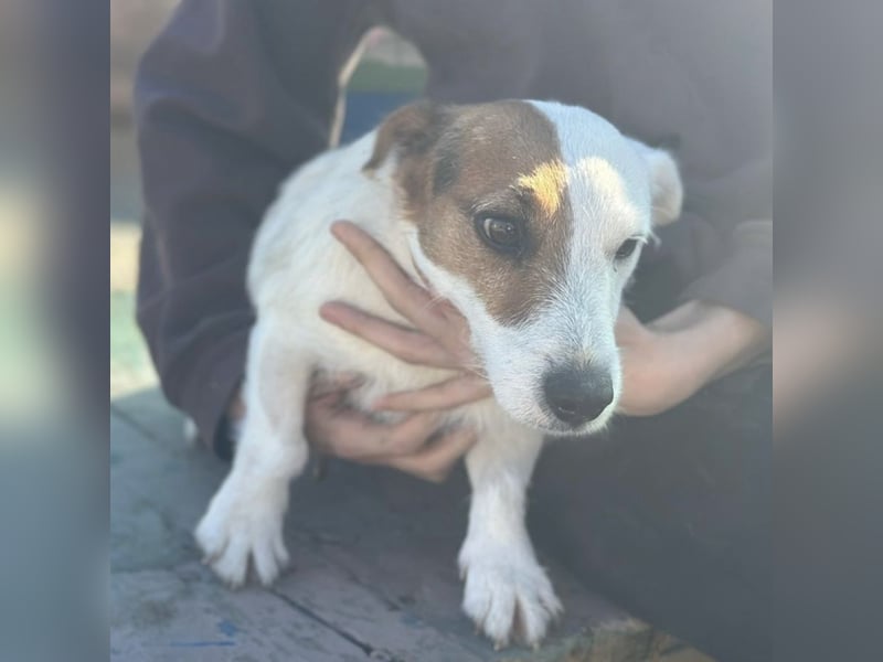 Andrija ein winziger Engelchen Andrija ein winziger Engelchen