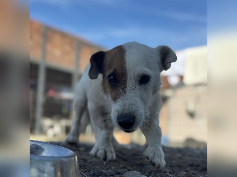 Andrija ein winziger Engelchen Andrija ein winziger Engelchen