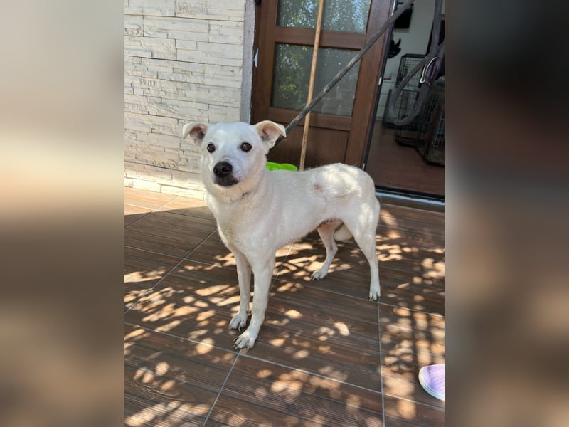 Chance - so viel Leid