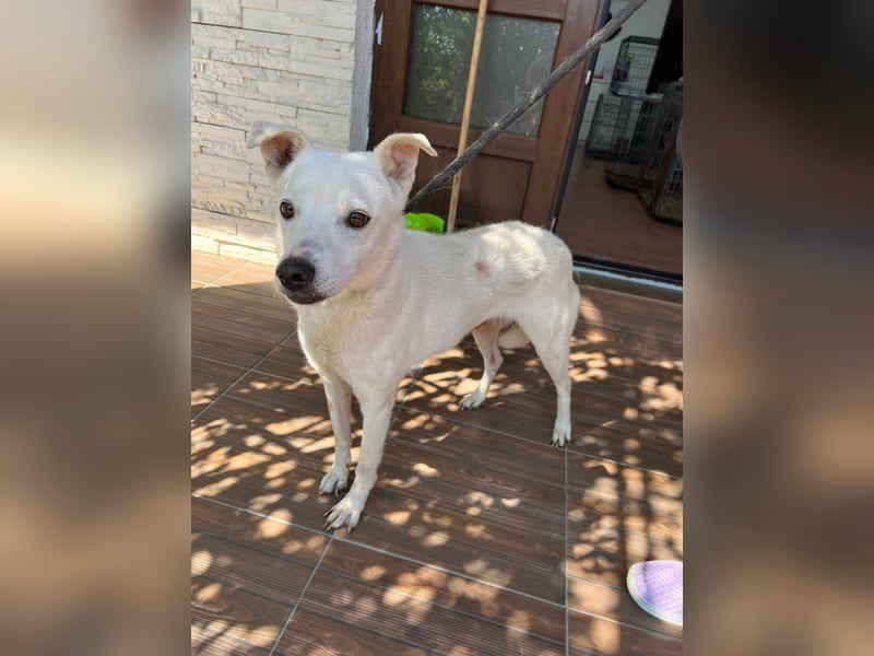 Chance - so viel Leid