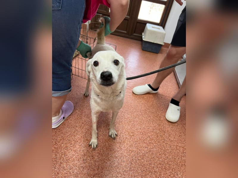 Chance - so viel Leid