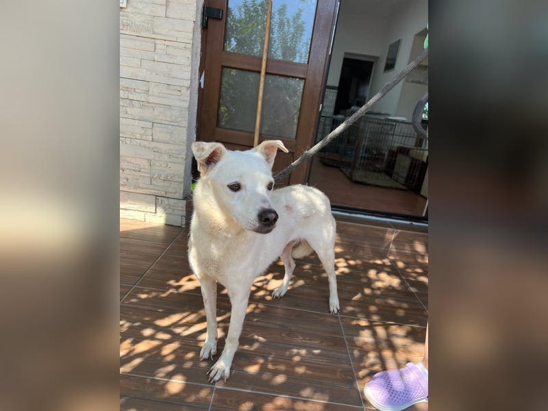 Chance - so viel Leid