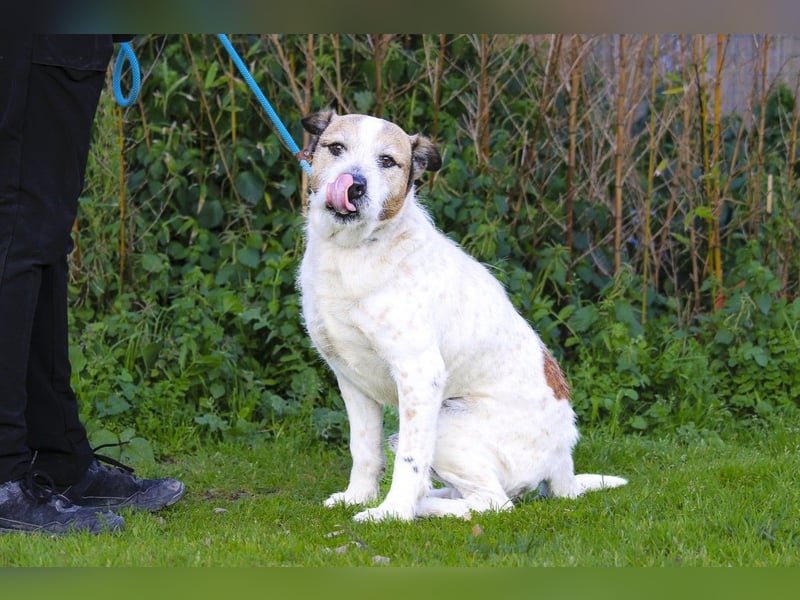 ❕Senior Tobias ❕ liebt die Menschen❕