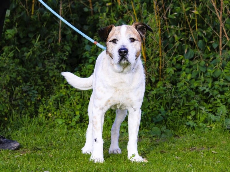 ❕Senior Tobias ❕ liebt die Menschen❕