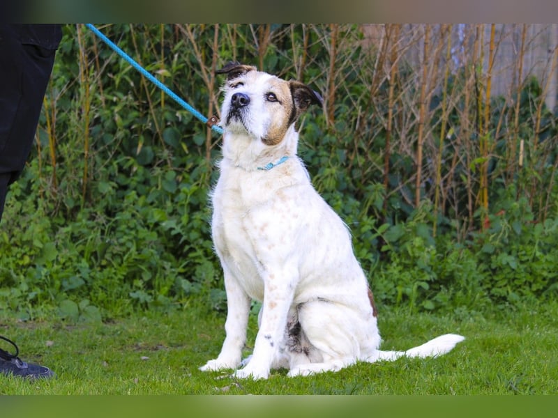 ❕Senior Tobias ❕ liebt die Menschen❕