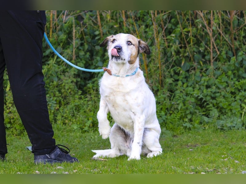 ❕Senior Tobias ❕ liebt die Menschen❕