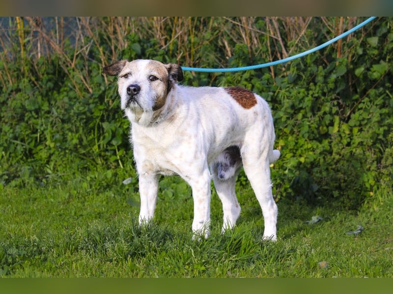 ❕Senior Tobias ❕ liebt die Menschen❕