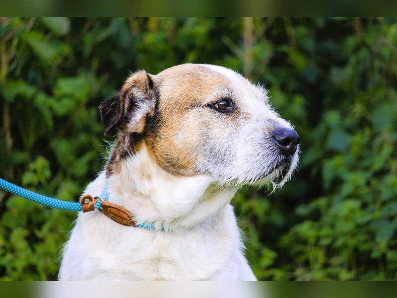 ❕Senior Tobias ❕ liebt die Menschen❕