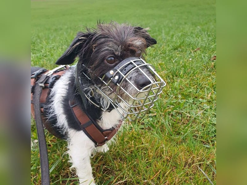 Balco - ist unerfahren