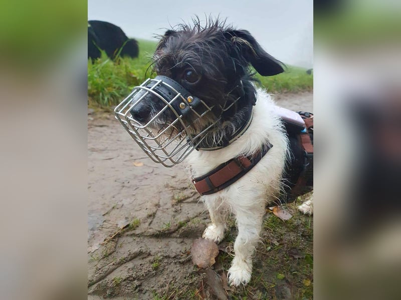 Balco - ist unerfahren