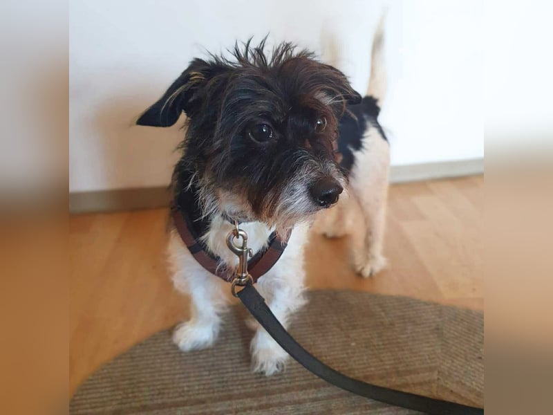 Balco - ist unerfahren