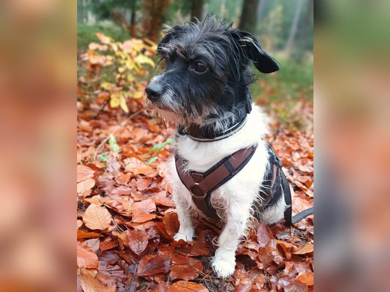 Balco - ist unerfahren