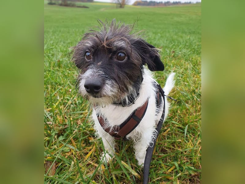 Balco - ist unerfahren