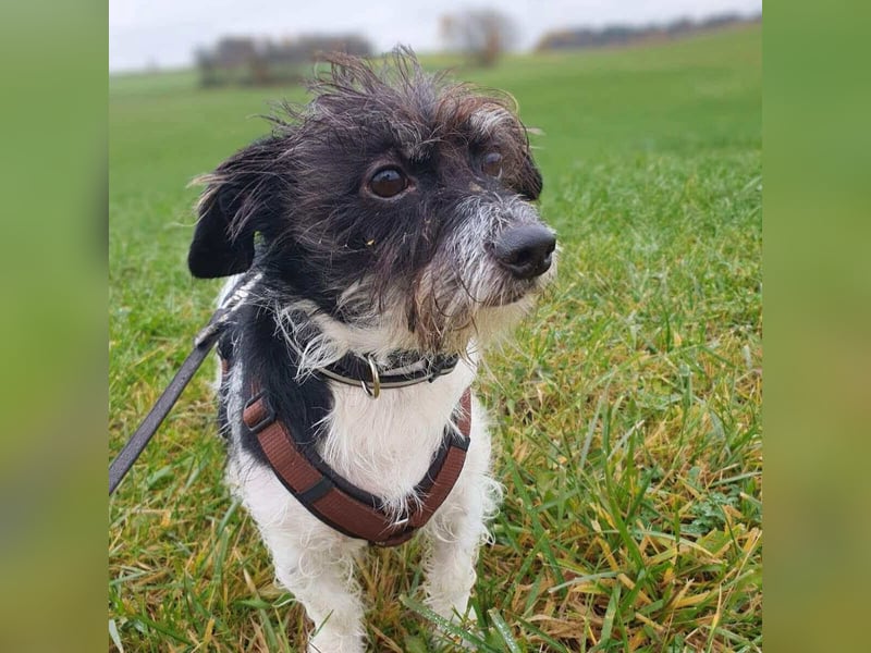 Balco - ist unerfahren