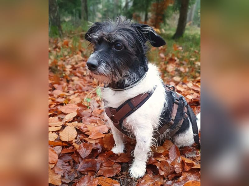 Balco - ist unerfahren