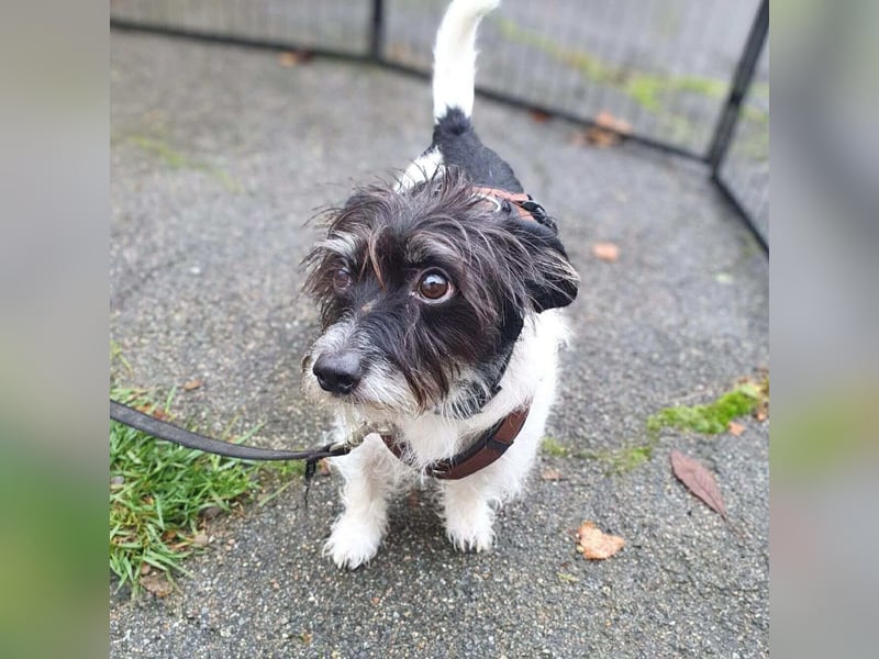 Balco - ist unerfahren