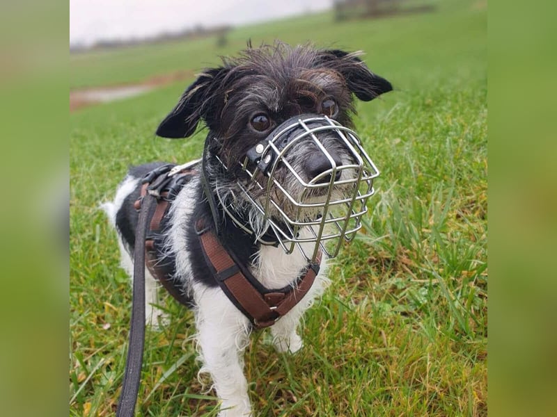 Balco - ist unerfahren
