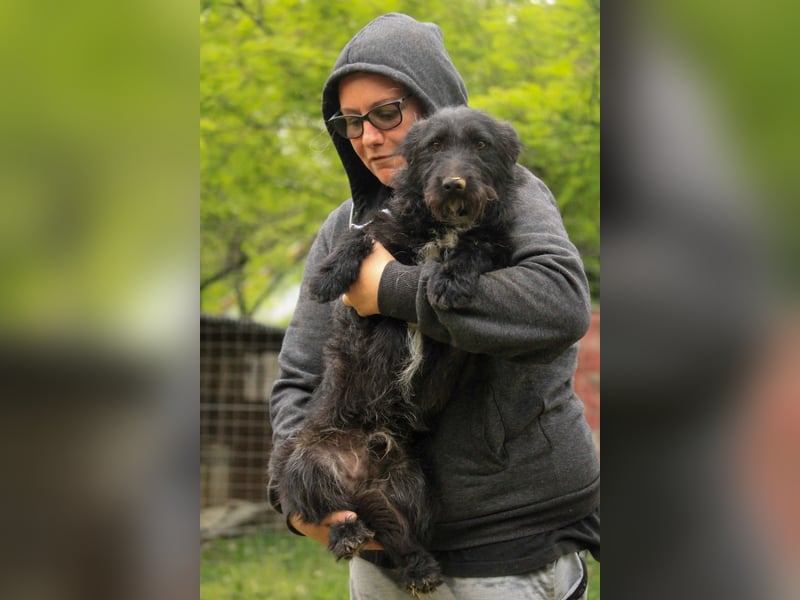 Alf LM – Fröhlicher kleiner Schatz sucht sein großes Glück