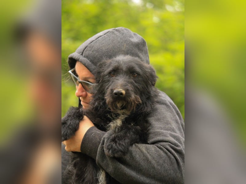 Alf LM – Fröhlicher kleiner Schatz sucht sein großes Glück