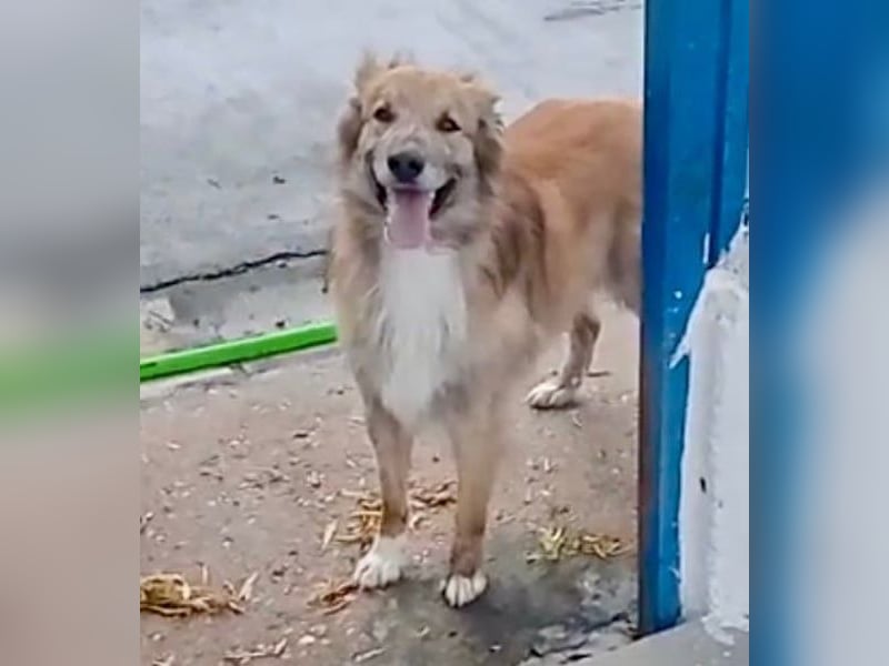 Honey, Notfall , er wartet schon so lange