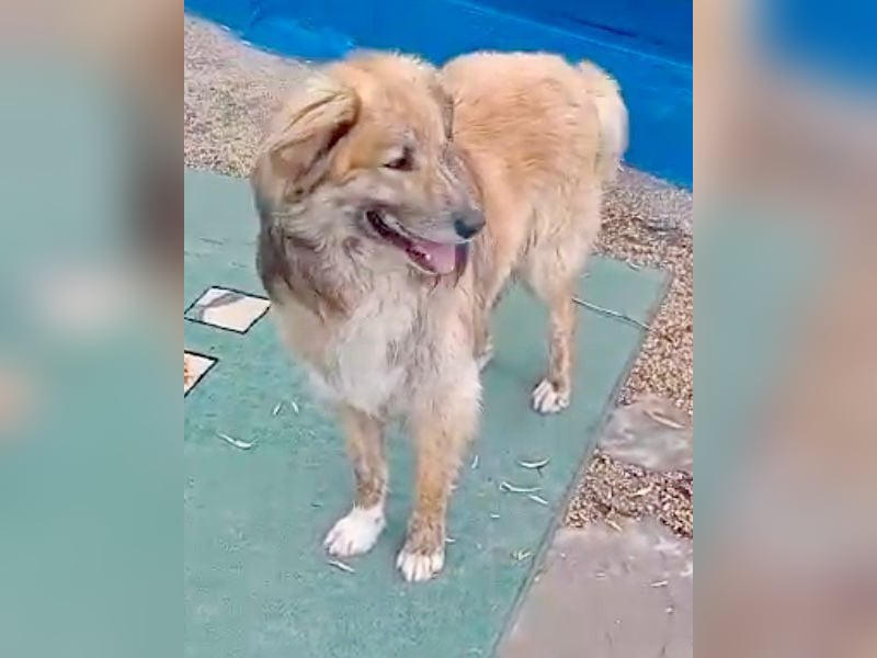 Honey, Notfall , er wartet schon so lange