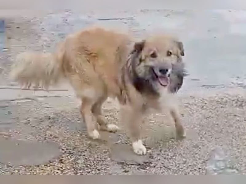 Honey, noch vorsichtig aber lieb