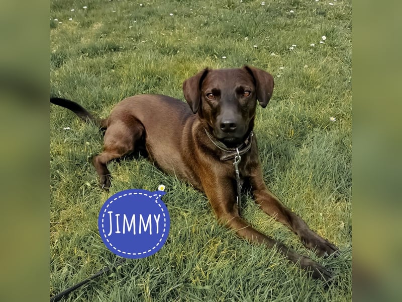 Jimmy braucht ein neues Zuhause