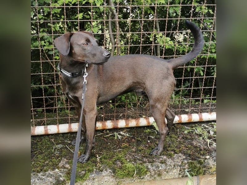 Jimmy braucht ein neues Zuhause