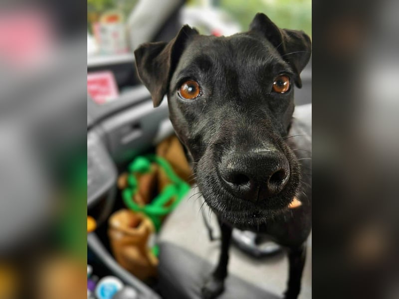 Otti - die Kinderliebende