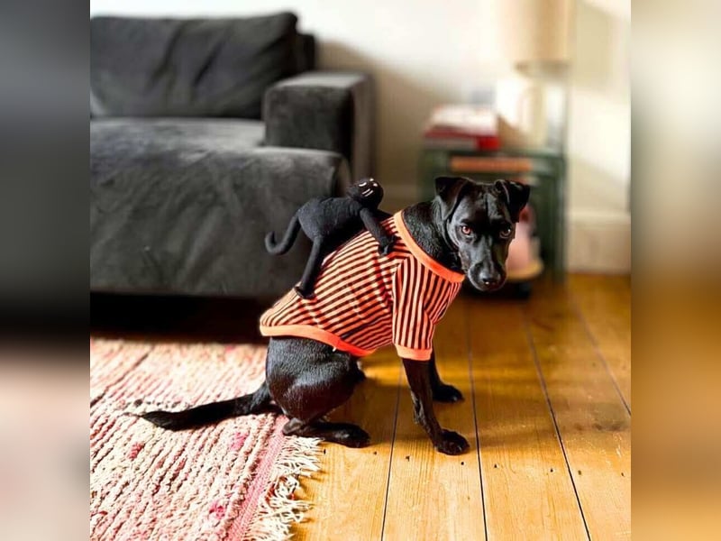 Otti - die Kinderliebende