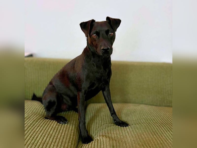 Otti - die Kinderliebende