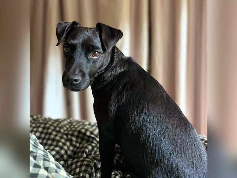 Otti - die Kinderliebende