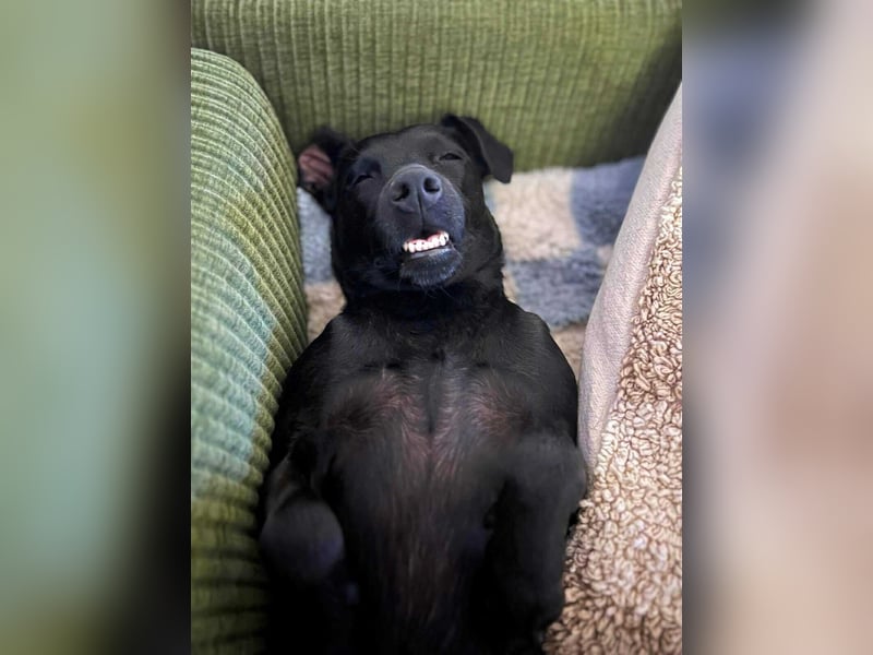 Otti - die Kinderliebende