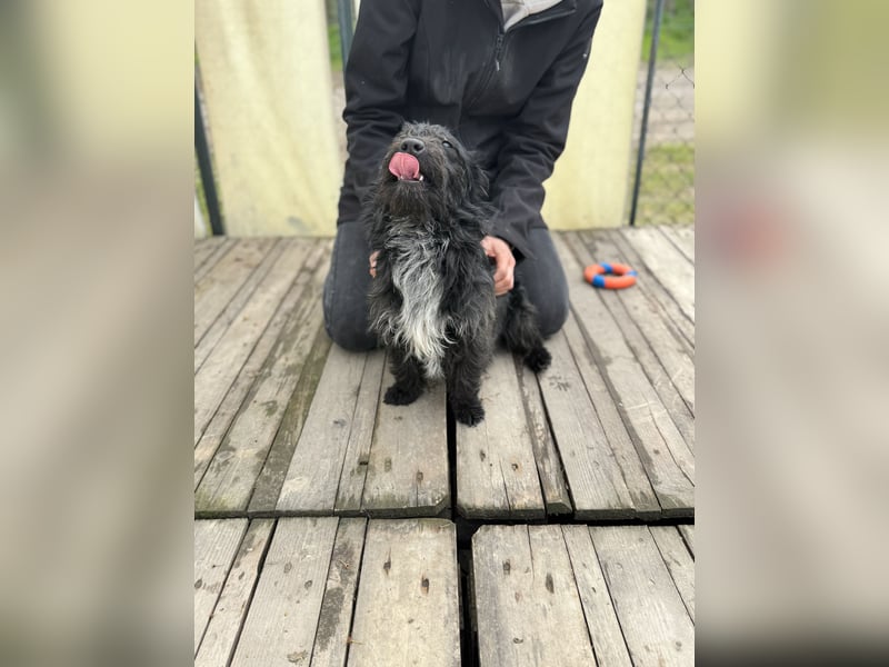 Kiki-LM, ein kleiner Schatz sucht Geborgenheit