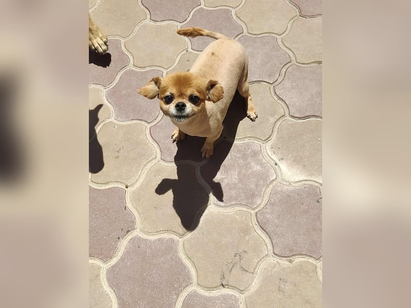 Mia