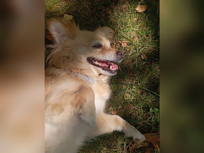 Luna, hofft auf ihre 2. Chance
