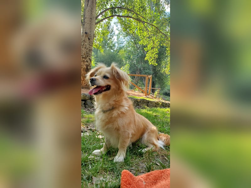 Luna, hofft auf ihre 2. Chance