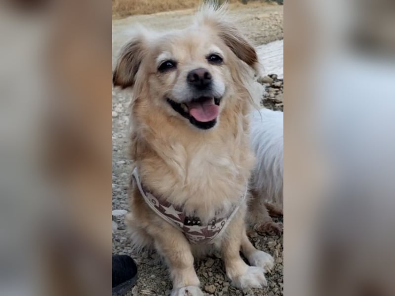 Luna, hofft auf ihre 2. Chance