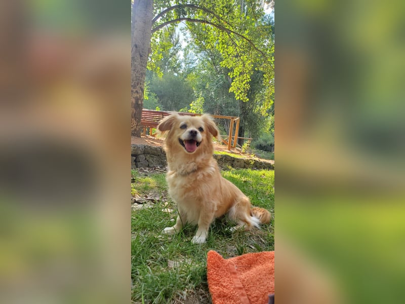 Luna, hofft auf ihre 2. Chance