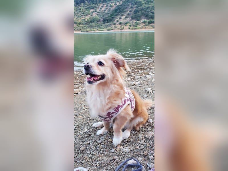 Luna, hofft auf ihre 2. Chance