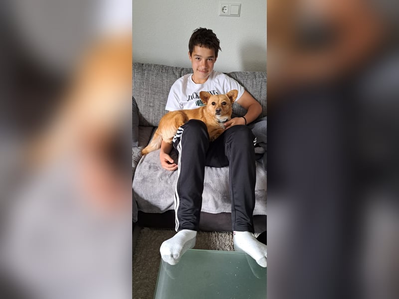 Nora sucht ihr eigenes Sofa