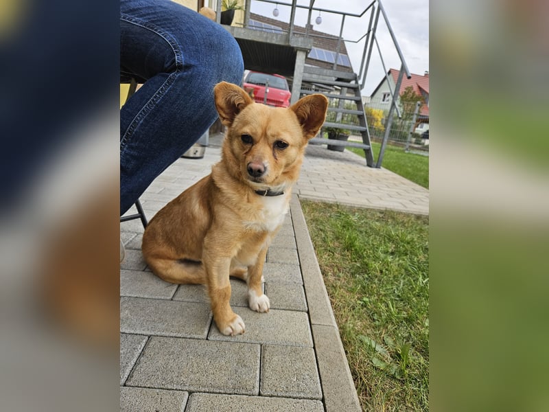 Nora sucht ihr eigenes Sofa