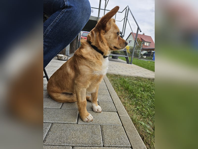 Nora sucht ihr eigenes Sofa