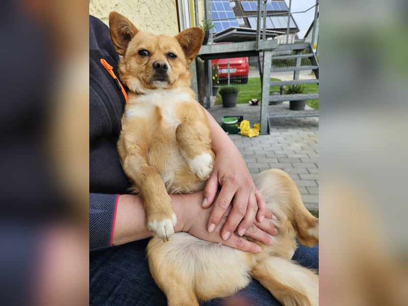 Nora sucht ihr eigenes Sofa
