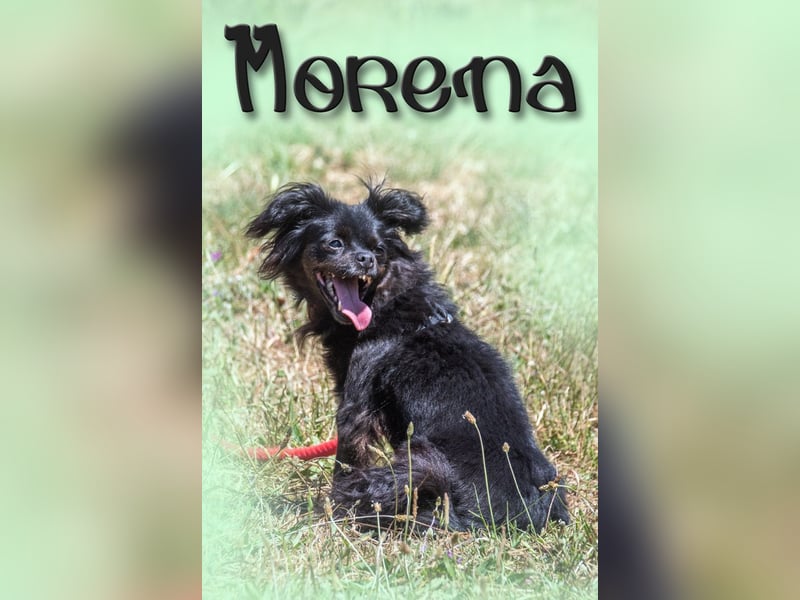 Morena - fit und munter