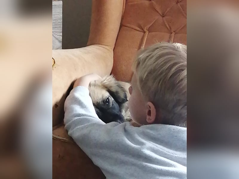 Elena, zuckersüß, verspielt und neugierig